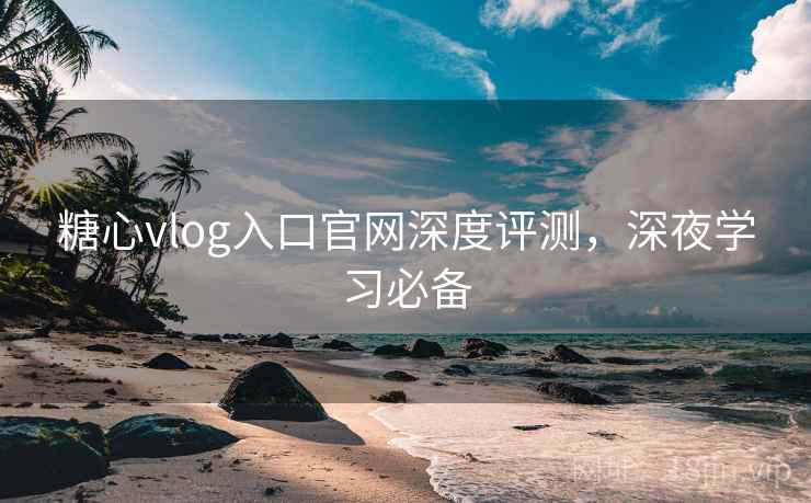 糖心vlog入口官网深度评测，深夜学习必备